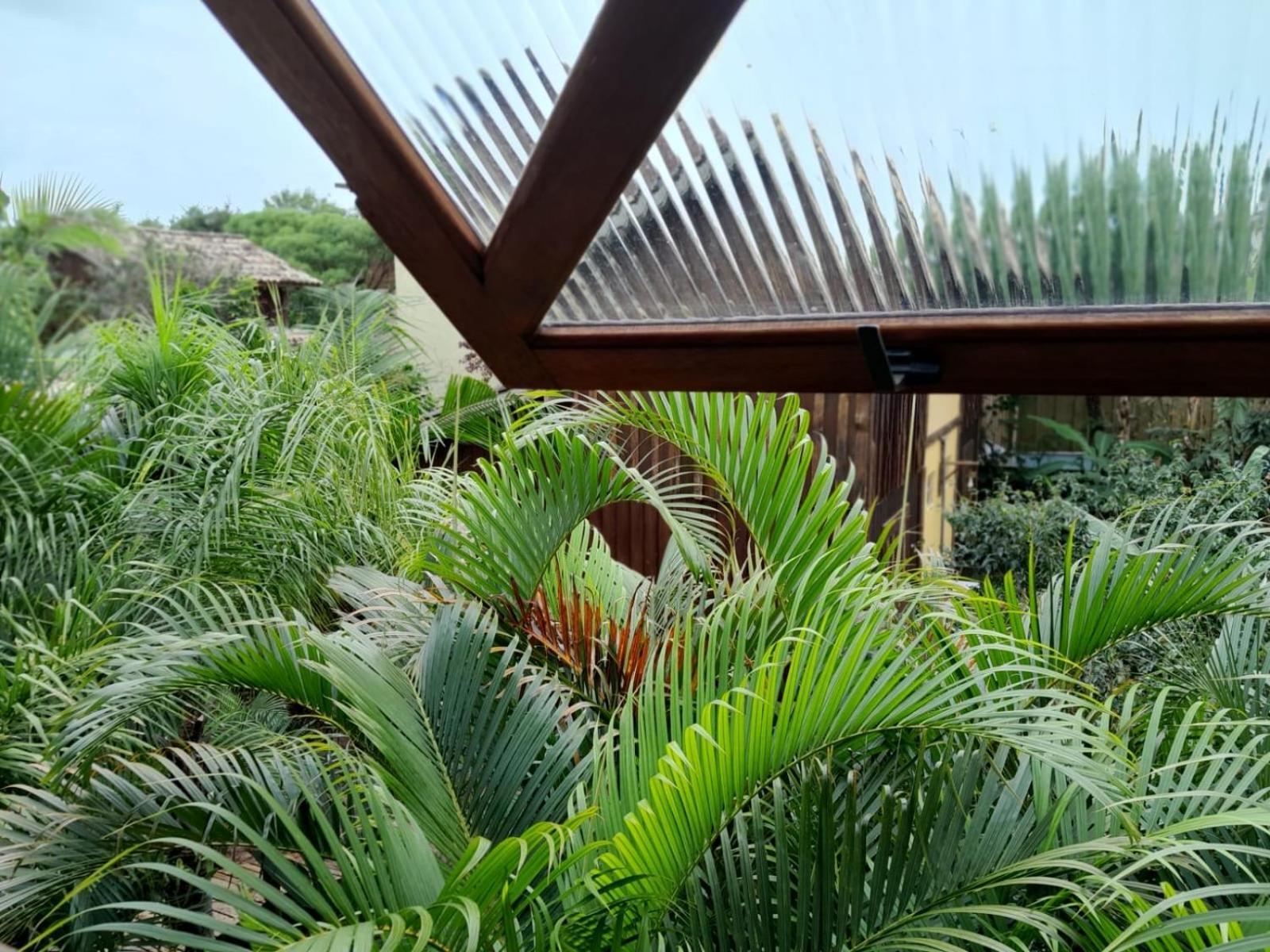Recanto Das Bromelias Chales Guarda do Embaú Exteriér fotografie